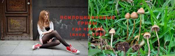 бутират Магадан
